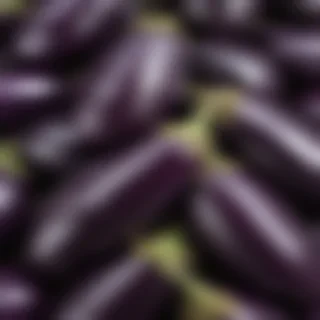 new eggplant friday