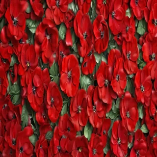 flower background red
