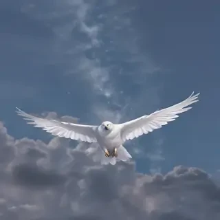 heavenly png
