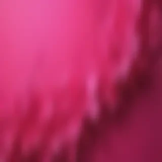 hot pink aesthetic wallpaper