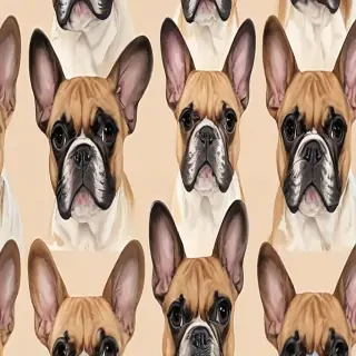 french bulldog background