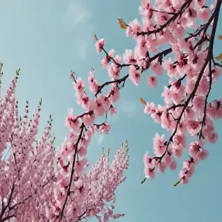 aesthetic spring wallpaper
