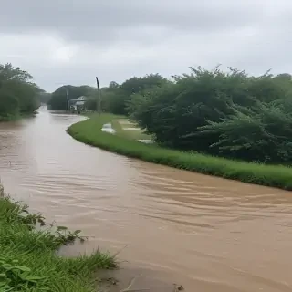 pic of a flood