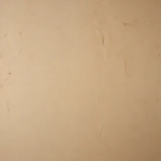 grain paper texture