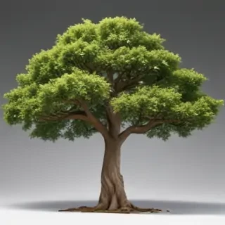 trees no background