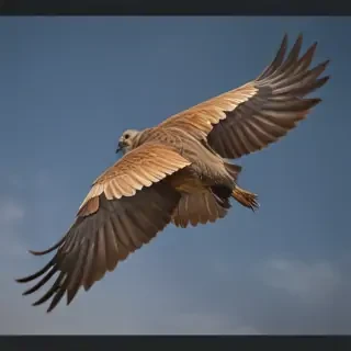 bird flying png
