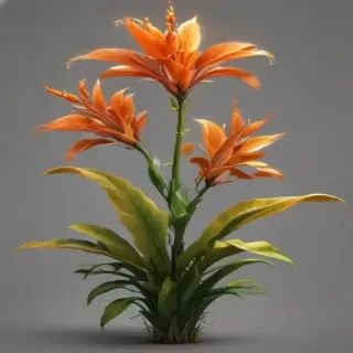 plant png clipart
