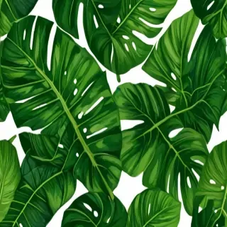 tropical leaf png