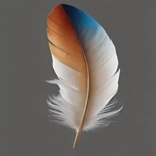 feather png