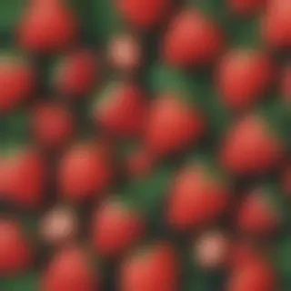 aesthetic strawberry wallpaper