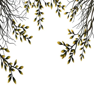 png branches