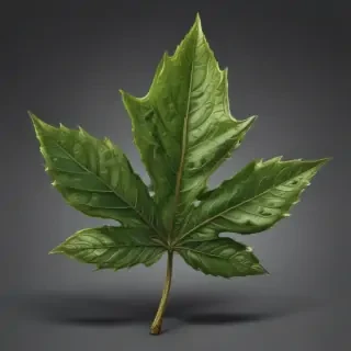 pot leaf png