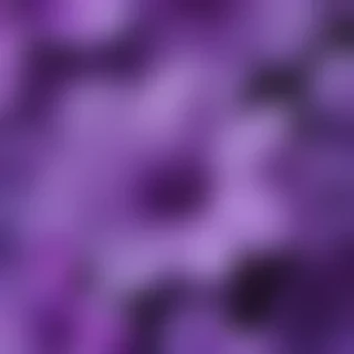 cute purple wallpaper for iphone