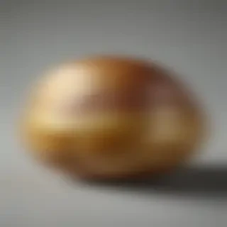 potato transparent