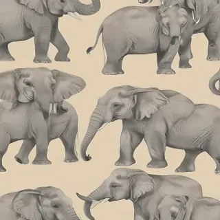 elephant background