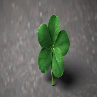 4 leaf clover png