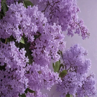 aesthetic lilac wallpaper