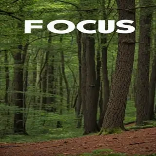 focus music