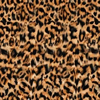 leopard print png