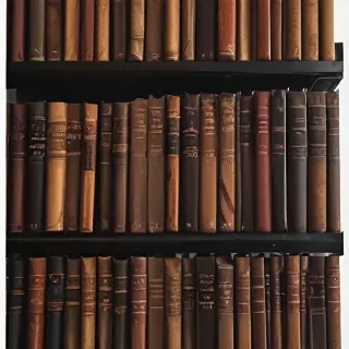 books icon aesthetic