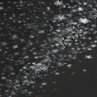snow transparent background