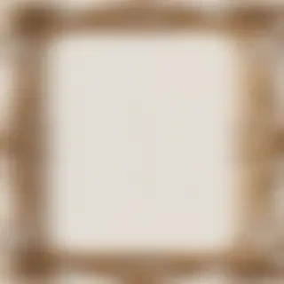 fancy frame png