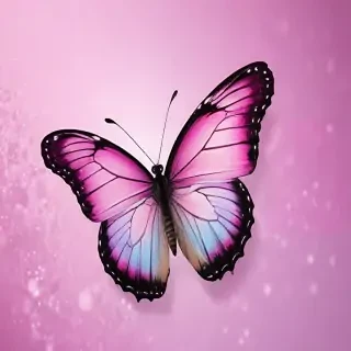 cute wallpapers butterfly