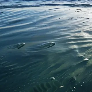 water texture png