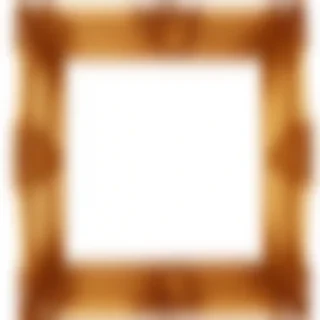 ornate frame png