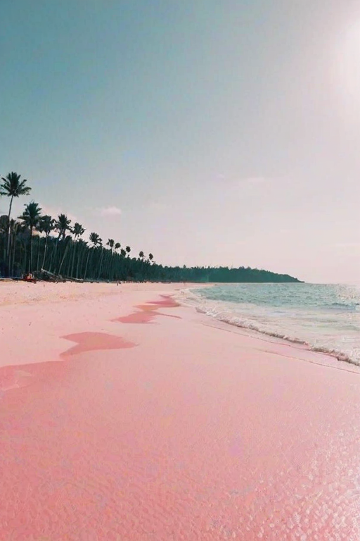 pink beach aesthetic