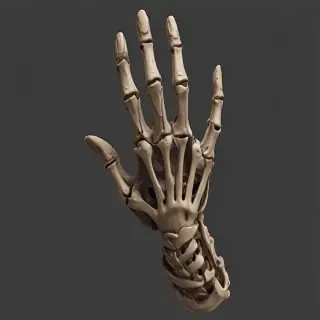 skeleton hand png