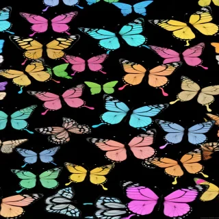 butterfly desktop wallpaper