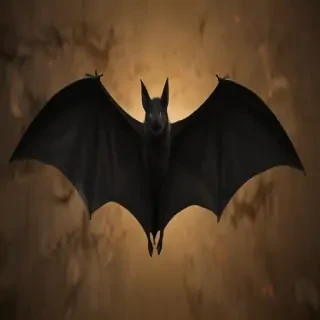 images of halloween bats