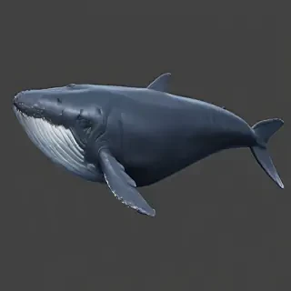blue whale png