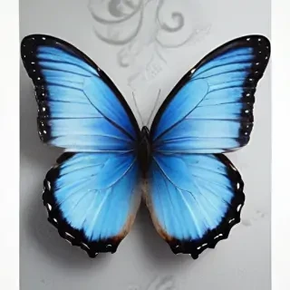 blue butterfly