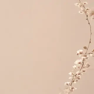 soft beige aesthetic wallpaper