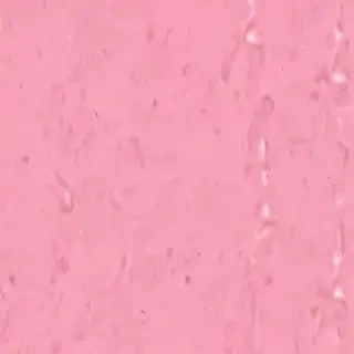 pink background iphone