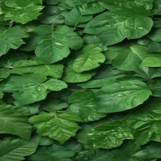 green leaf background