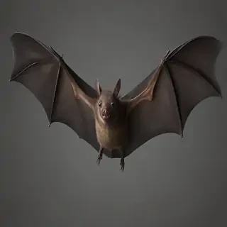 bat png