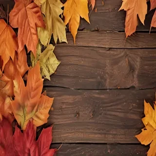 fall wallpaper iphone