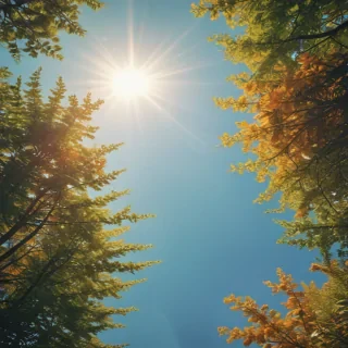 summer backgrounds aesthetic
