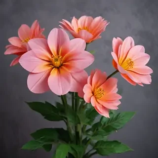 flowers with no background