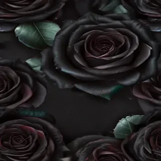blackrose background
