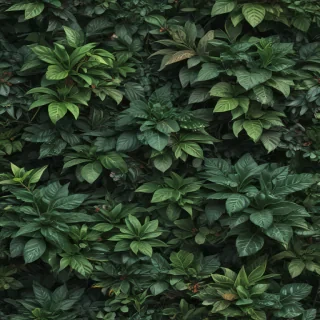aesthetic plant wallpaper