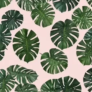 aesthetic monstera wallpaper