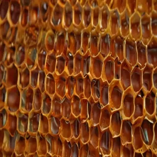 honeycomb png