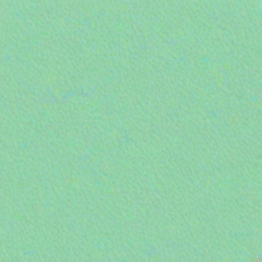 mint green bg