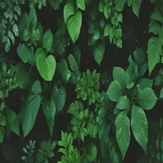 greenery background aesthetic