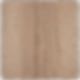 blanket png