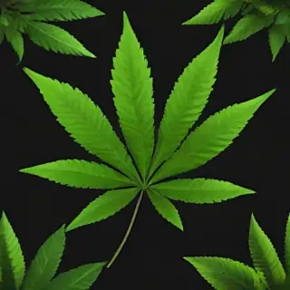 weed leaf png